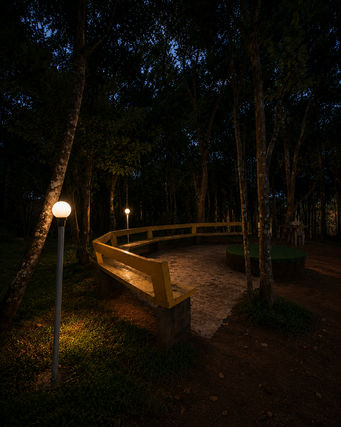 A forest sitting nook glowing in the evening